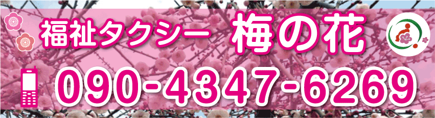 ^NV[@~̉ԁ@Îs